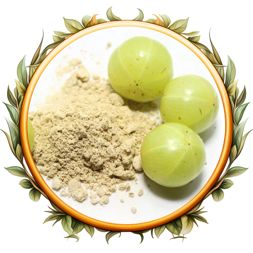 Amla Powder