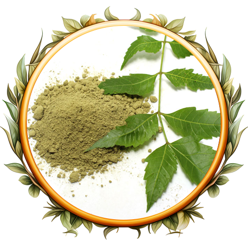Neem Powder